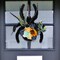 Halloween Spider Wreath with Sunflowers and Black Feathers (Halloween) 2"D x 9.84"W x 11.81"H